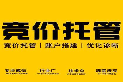 百度竞价广告投放案例：关键词优化与转化率提升